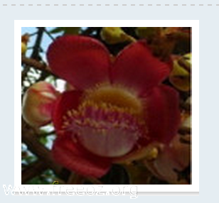 ��Ļ���� 2013-08-06 ����12.10.21.png