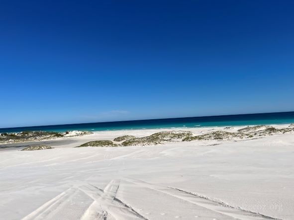 ˹ְɳLancelin Sand Dune