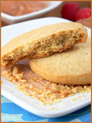 sables1.jpg