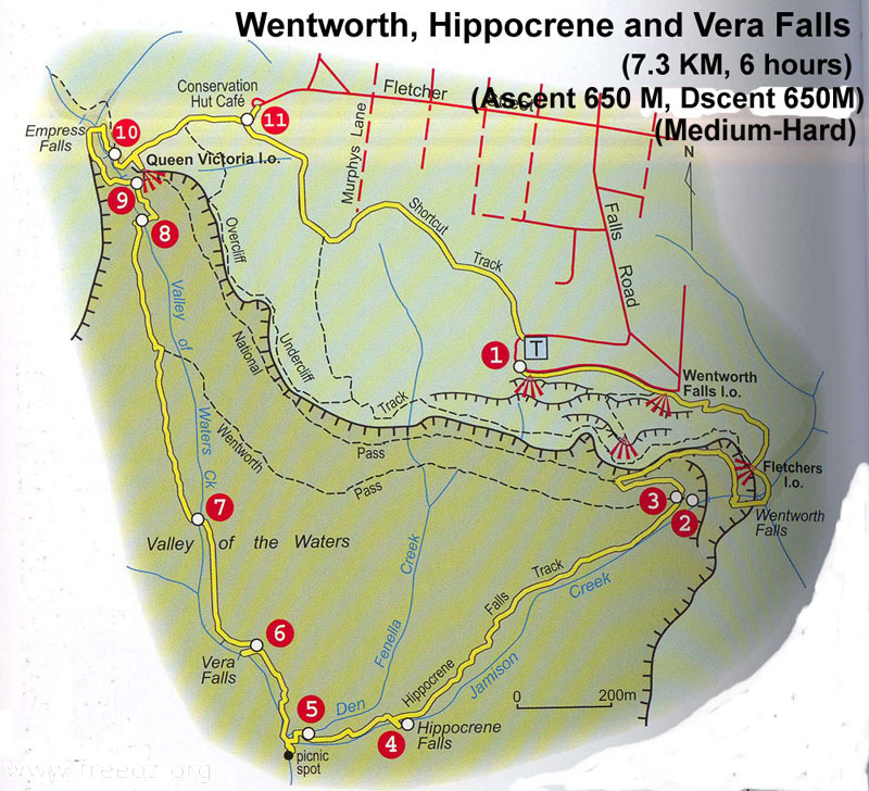 Wentworth Hippocrene and Vera Falls m.JPG