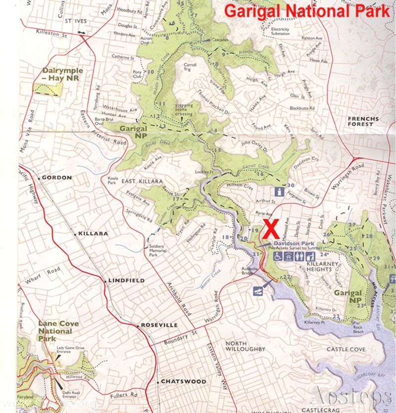 Garigal National Park h.JPG