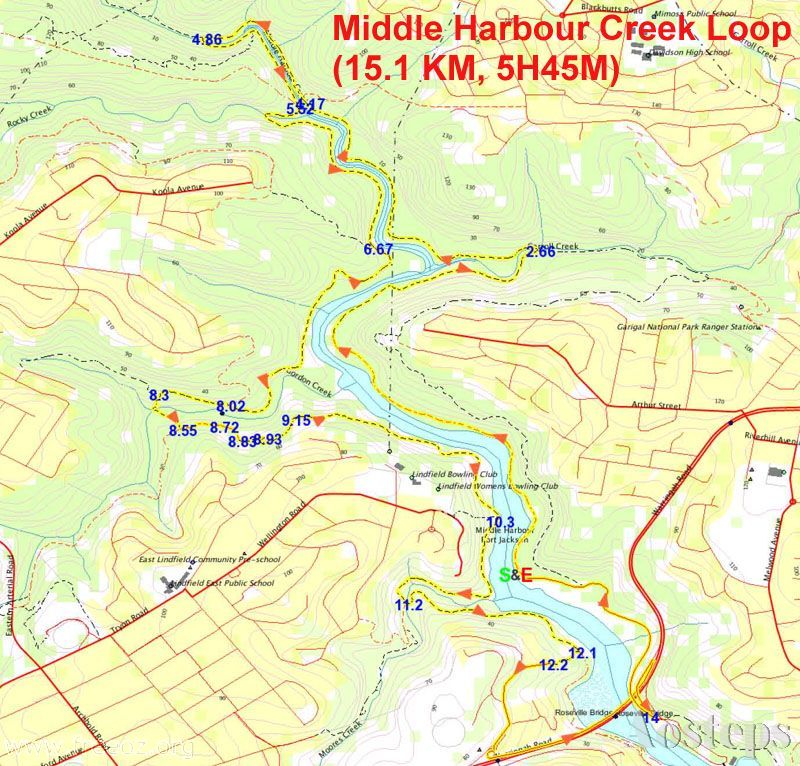 Middle Harbour Creek Loop(Circuit) @ Garigal NP151km5h45m571m h.JPG