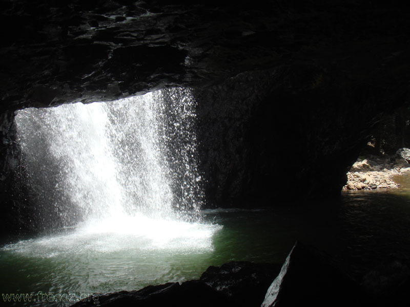 nature bridge a h.JPG