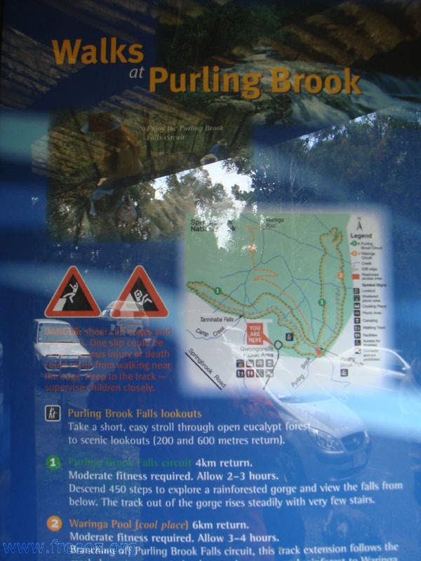 walk at purling brook a h.JPG