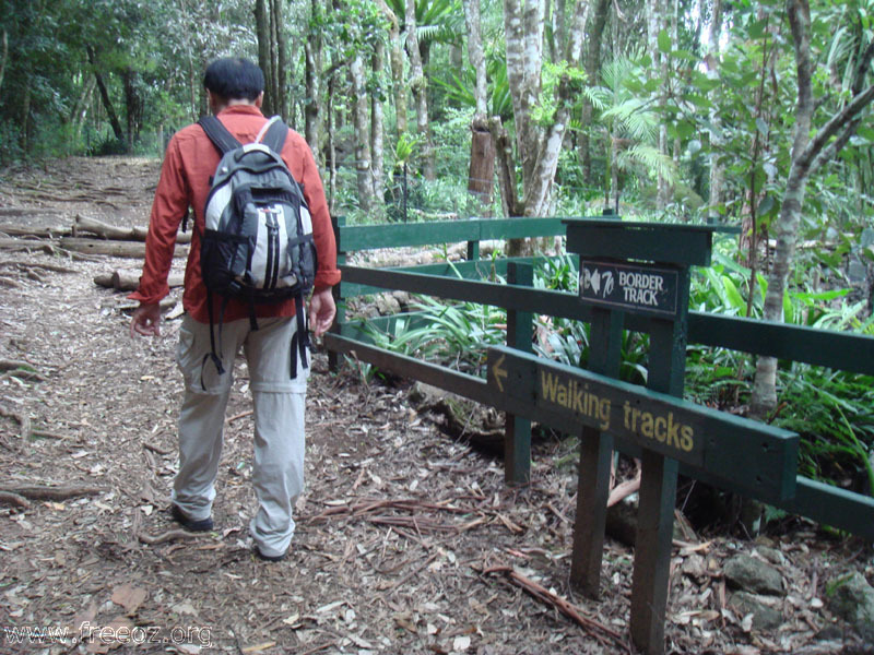 great walk of gold coast hinterland b h.JPG