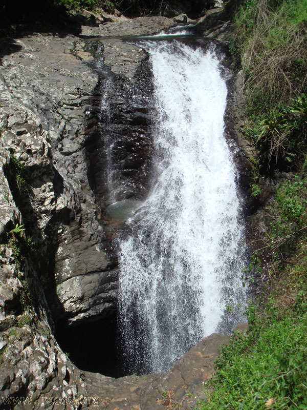 nature bridge b h.JPG