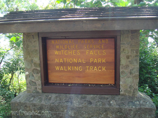 witches falls track at mt tamborine h.JPG