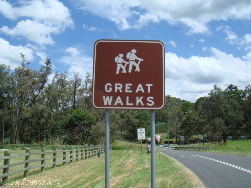 great walk of gold coast hinterland c h.JPG