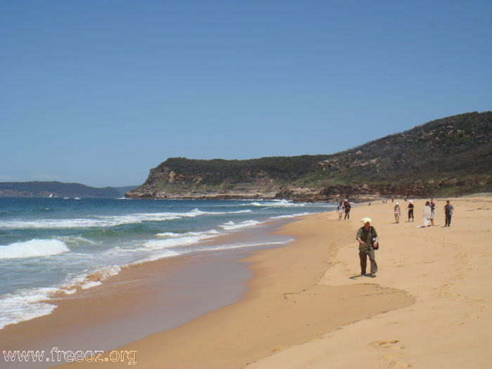 Tallow Beach h.JPG