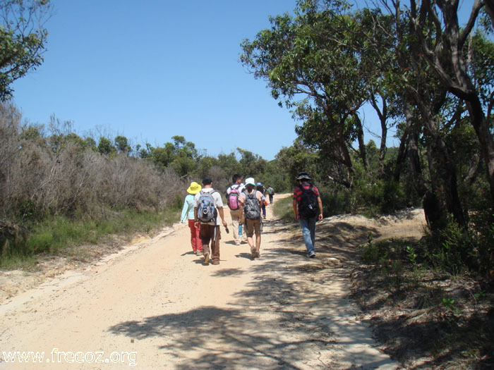 Walk to Tallow Beach h.JPG