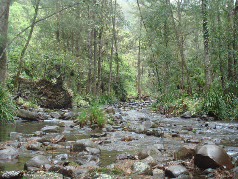 Creek on the track h.JPG